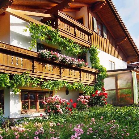 Ferienwohnung Gruber تآيسيندورف المظهر الخارجي الصورة